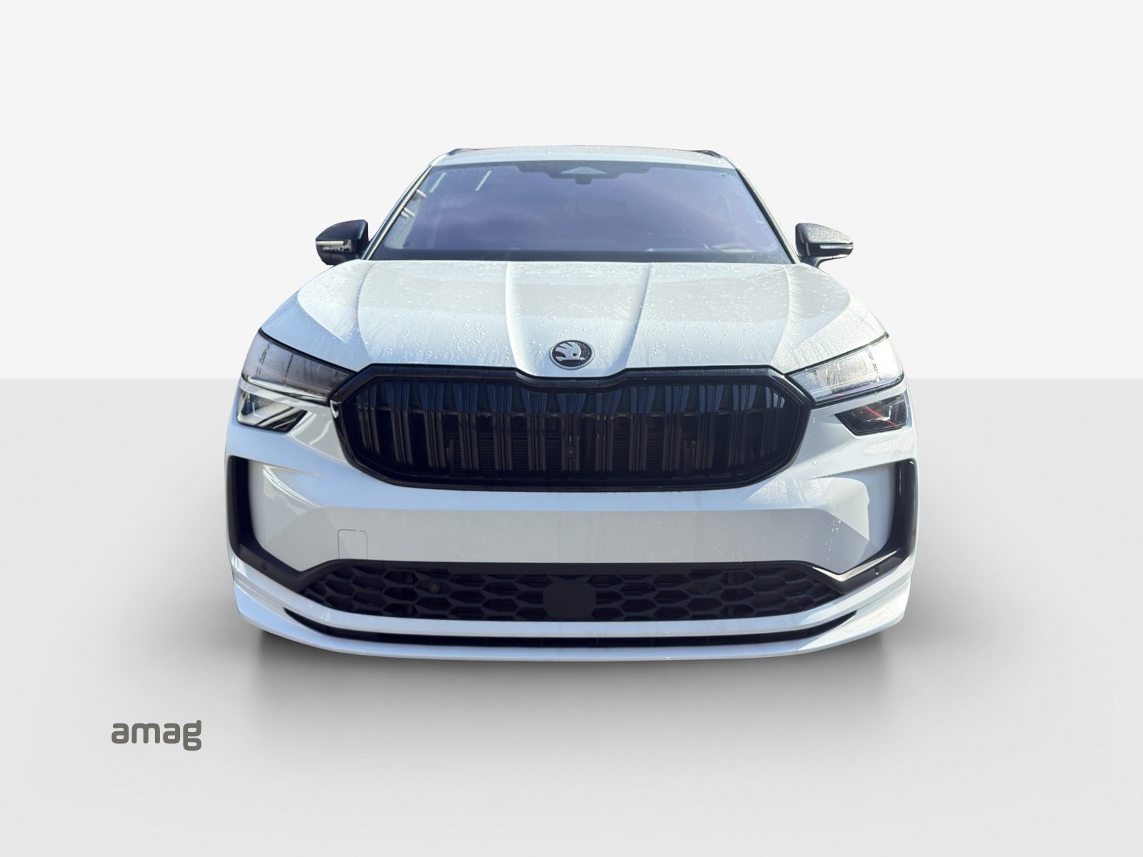 SKODA Kodiaq Sportline, Diesel, Auto nuove, Automatico - 7