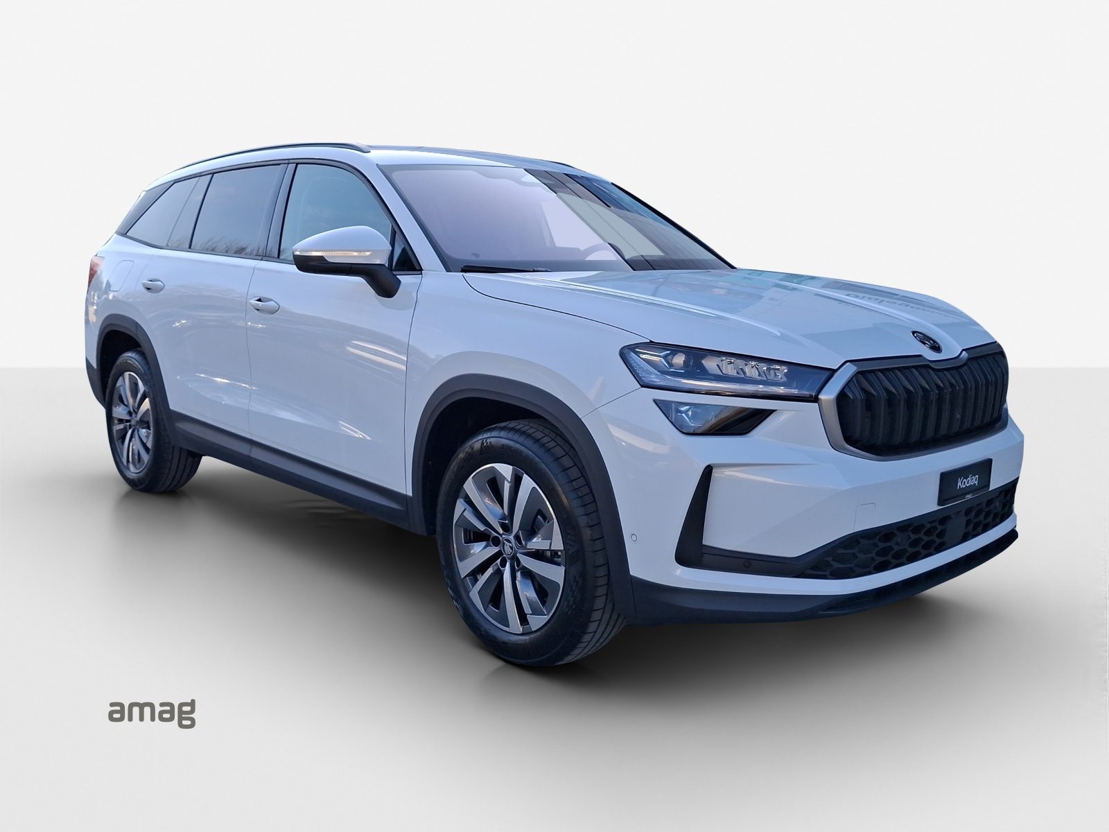 SKODA Kodiaq Dynamic (Netto), Diesel, Auto nuove, Automatico - 6