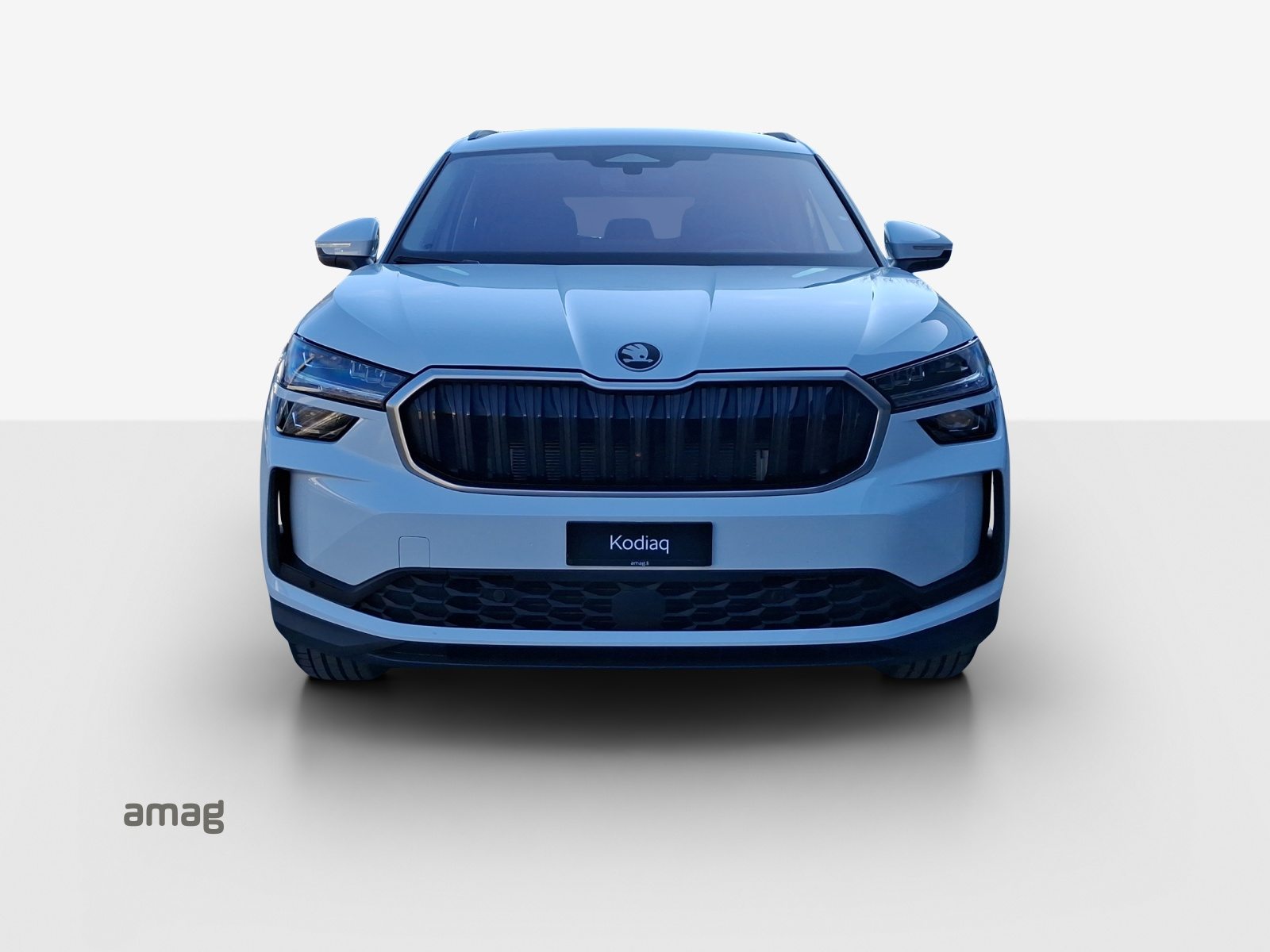SKODA Kodiaq Dynamic (Netto), Diesel, Auto nuove, Automatico - 7