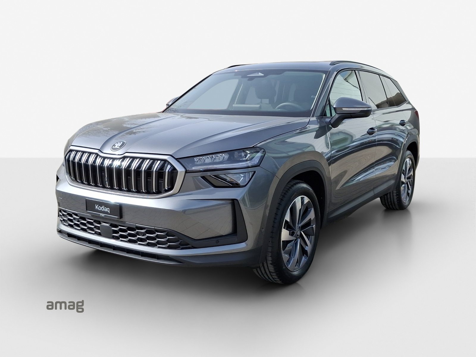 SKODA Kodiaq Dynamic (Netto)