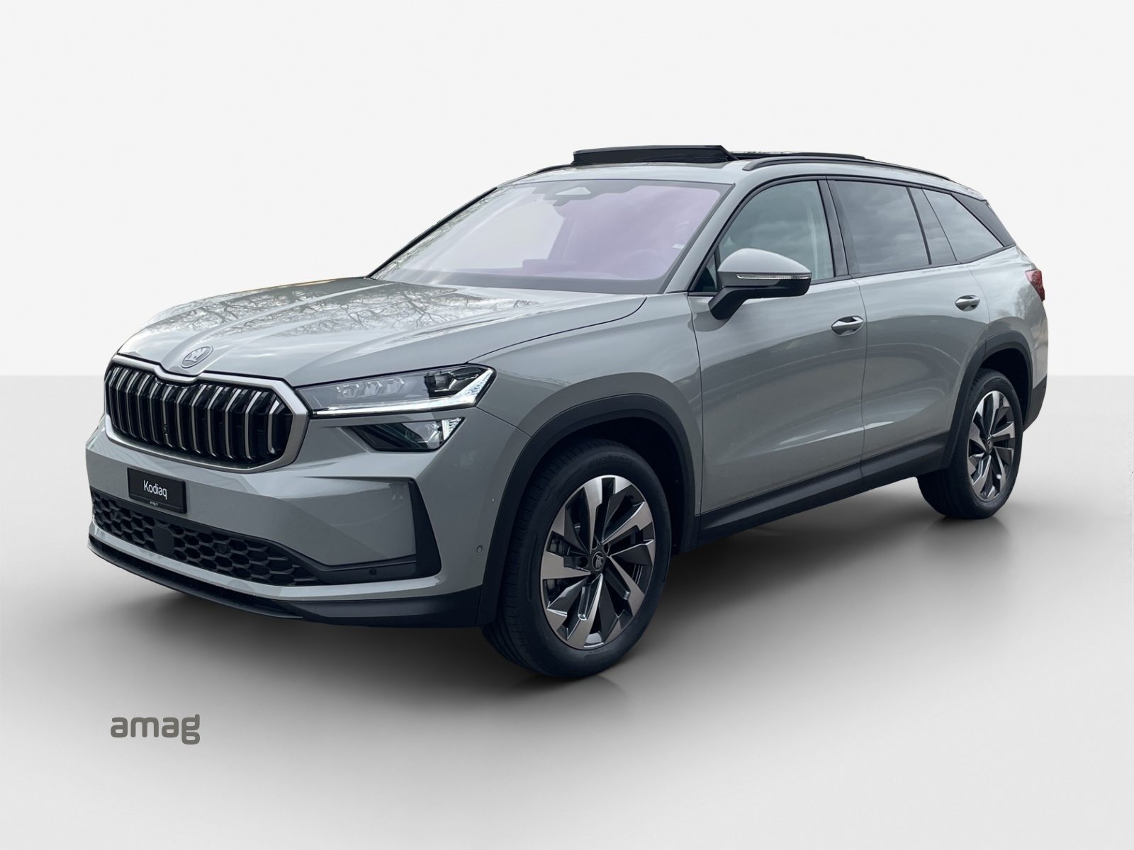 SKODA Kodiaq Dynamic (Netto)