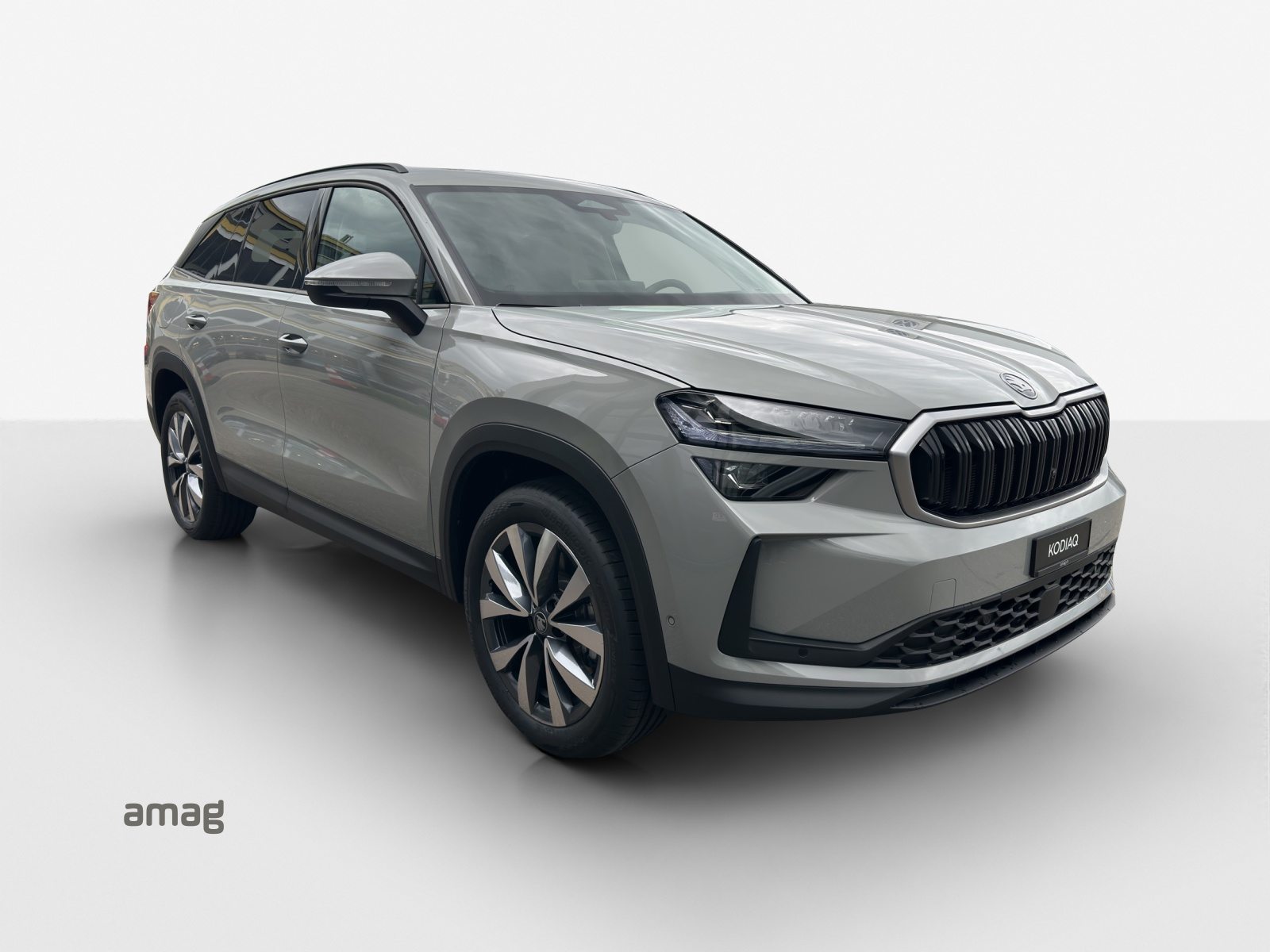 SKODA Kodiaq Selection, Benzina, Auto nuove, Automatico - 6