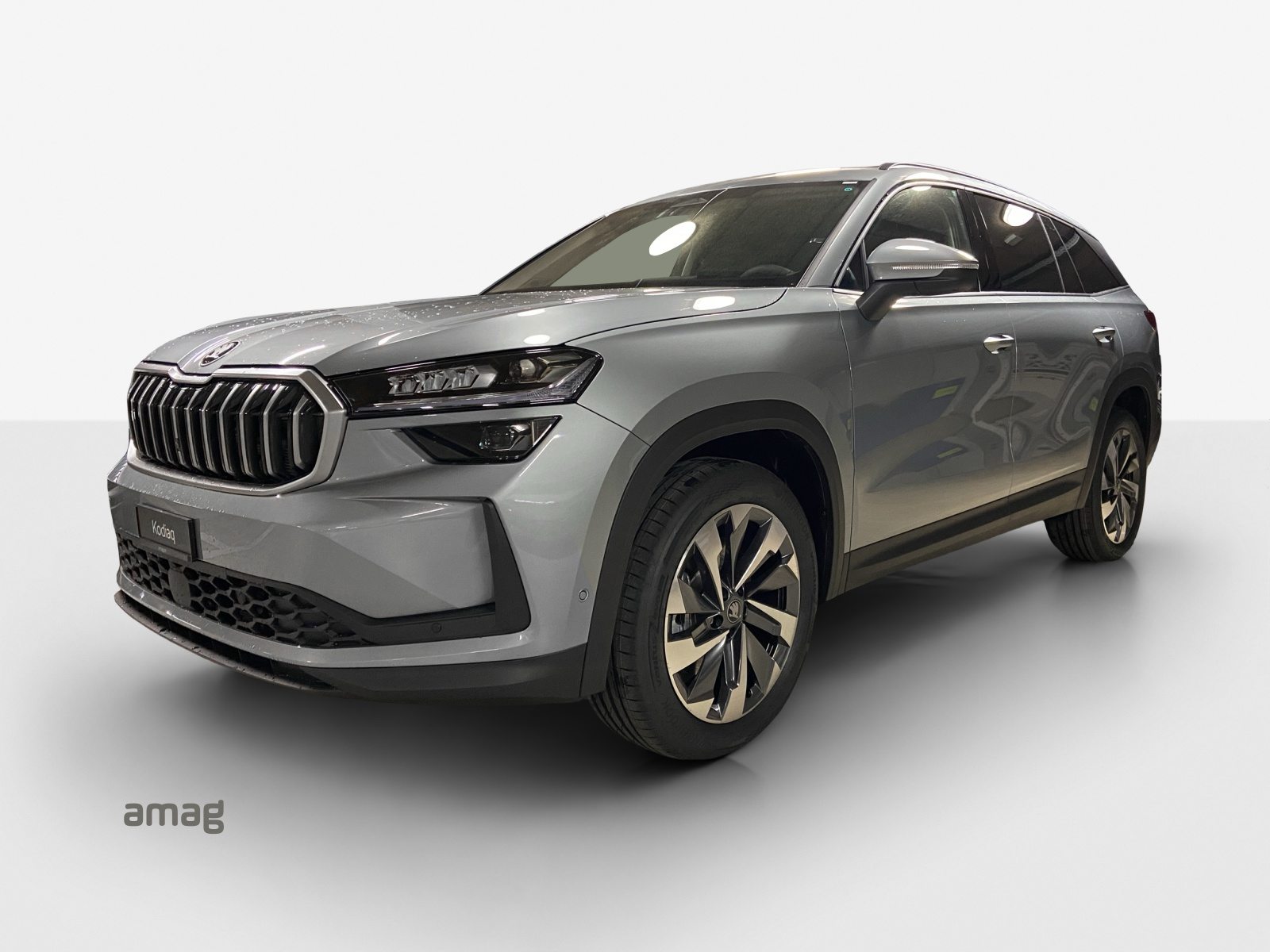 SKODA Kodiaq Dynamic (Netto)