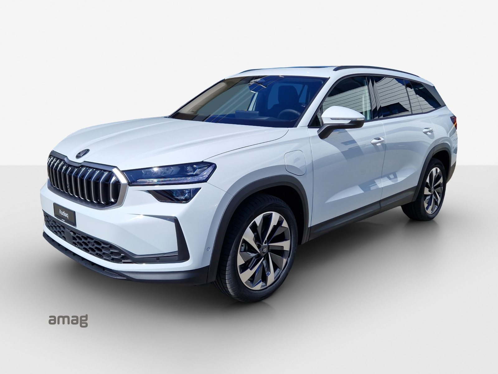 SKODA Kodiaq iV Dynamic (Netto)
