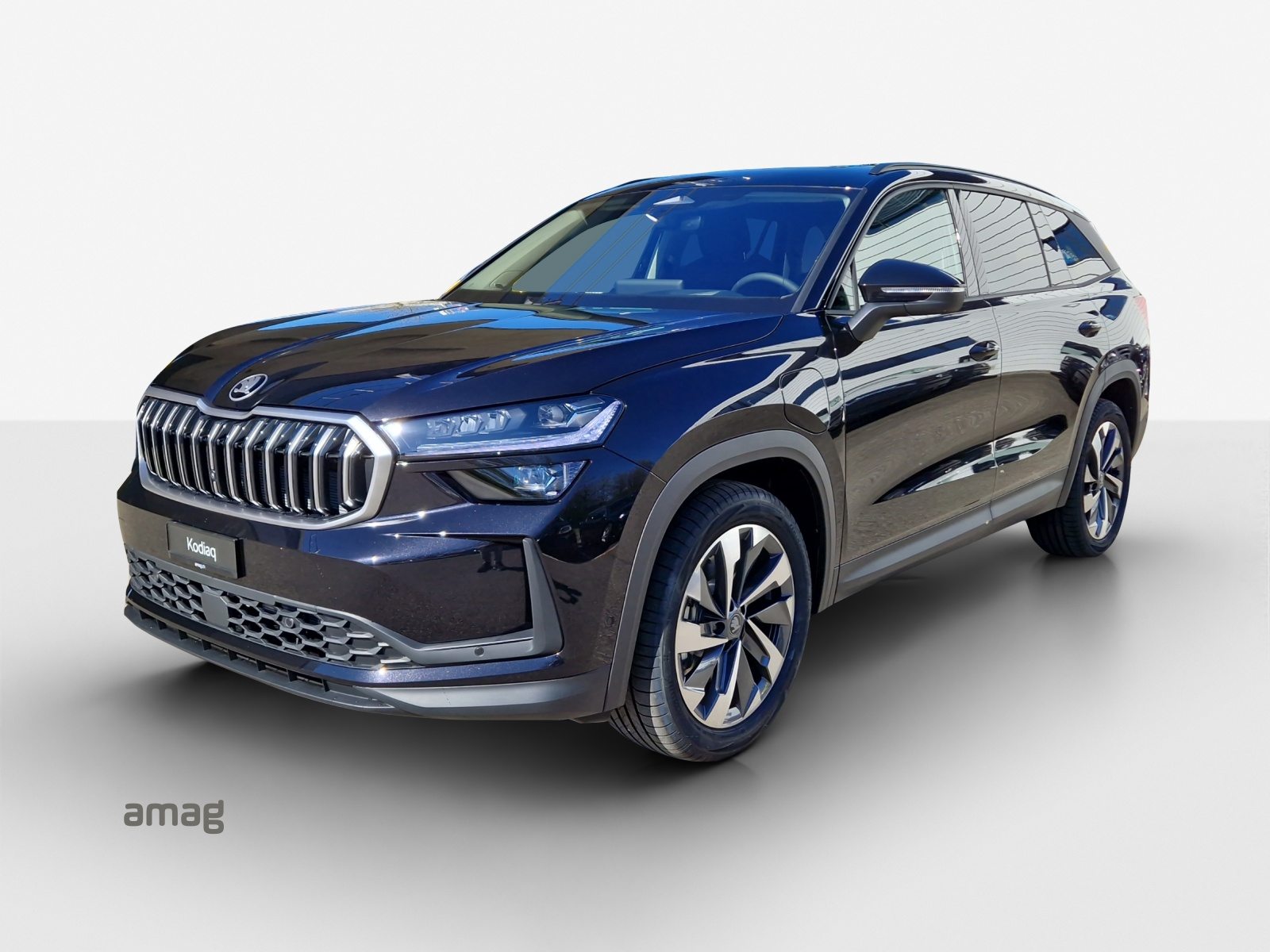 SKODA Kodiaq iV Dynamic (Netto)