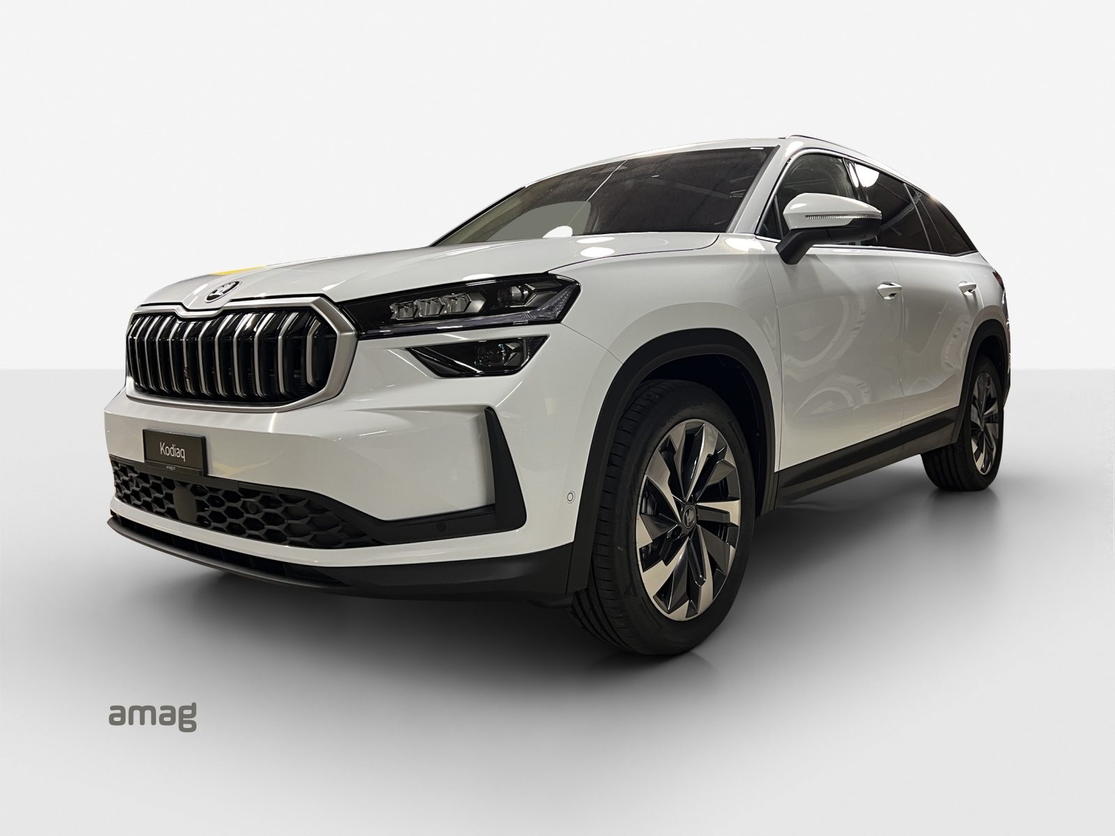 SKODA Kodiaq Dynamic (Netto)