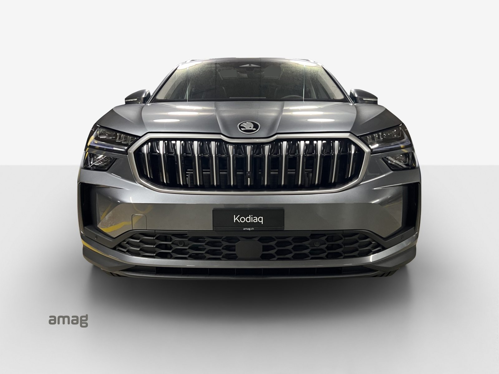 SKODA Kodiaq Dynamic (Netto), Benzin, Neuwagen, Automatik - 7