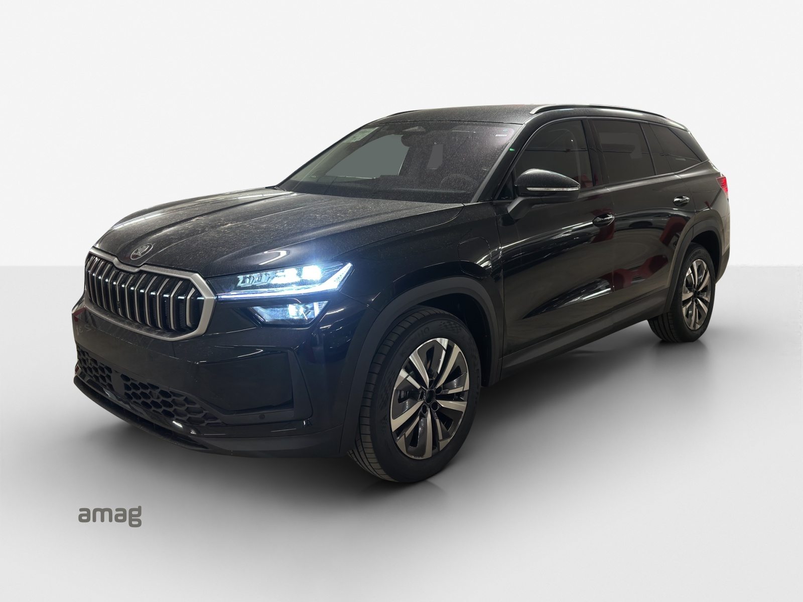 SKODA Kodiaq iV Dynamic (Netto)