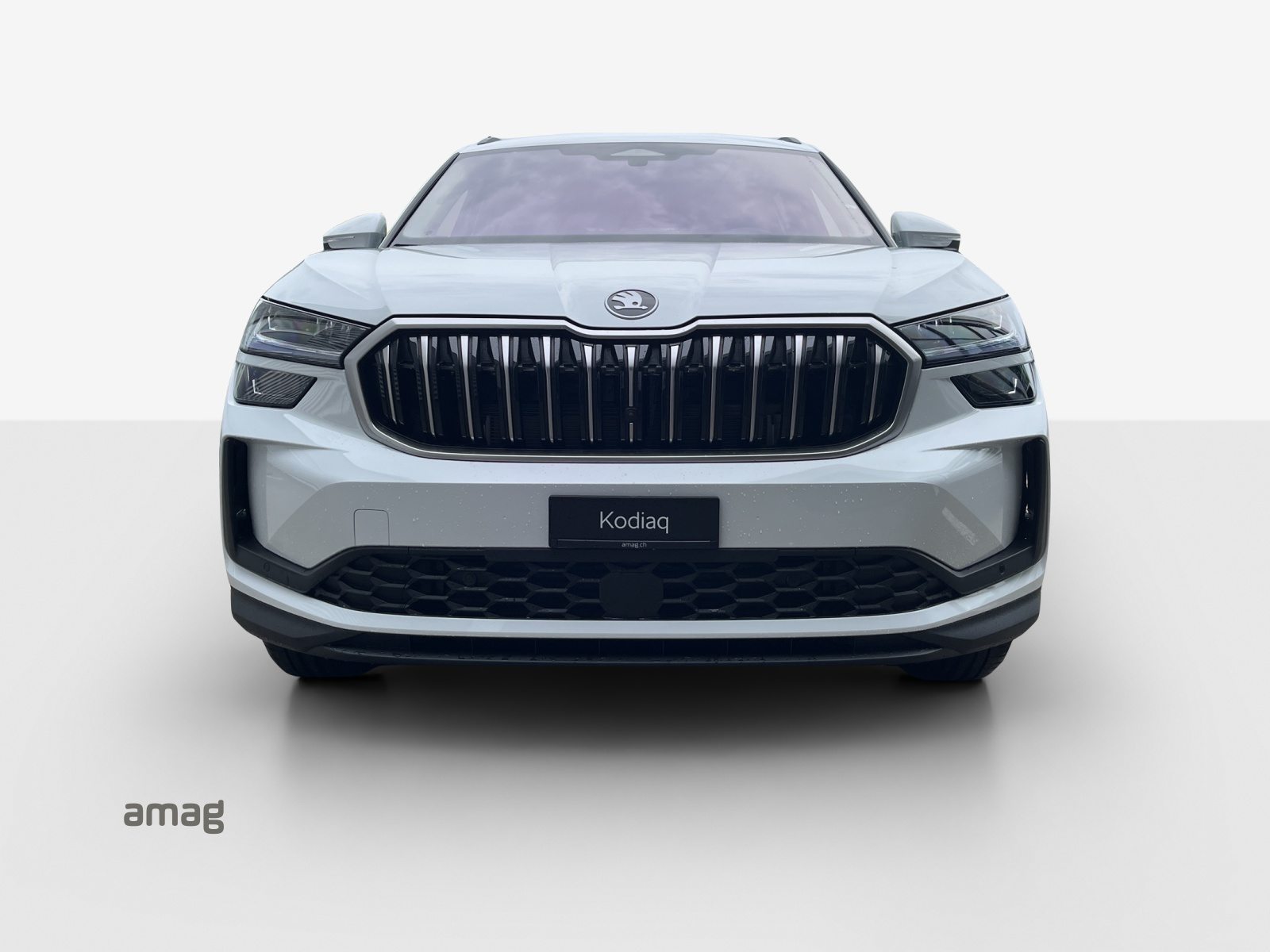 SKODA Kodiaq Dynamic (Netto), Diesel, New car, Automatic - 7