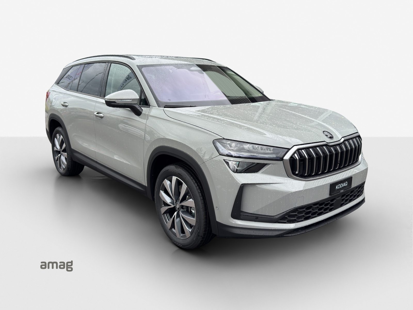 SKODA Kodiaq Dynamic (Netto), Benzin, Neuwagen, Automatik - 6