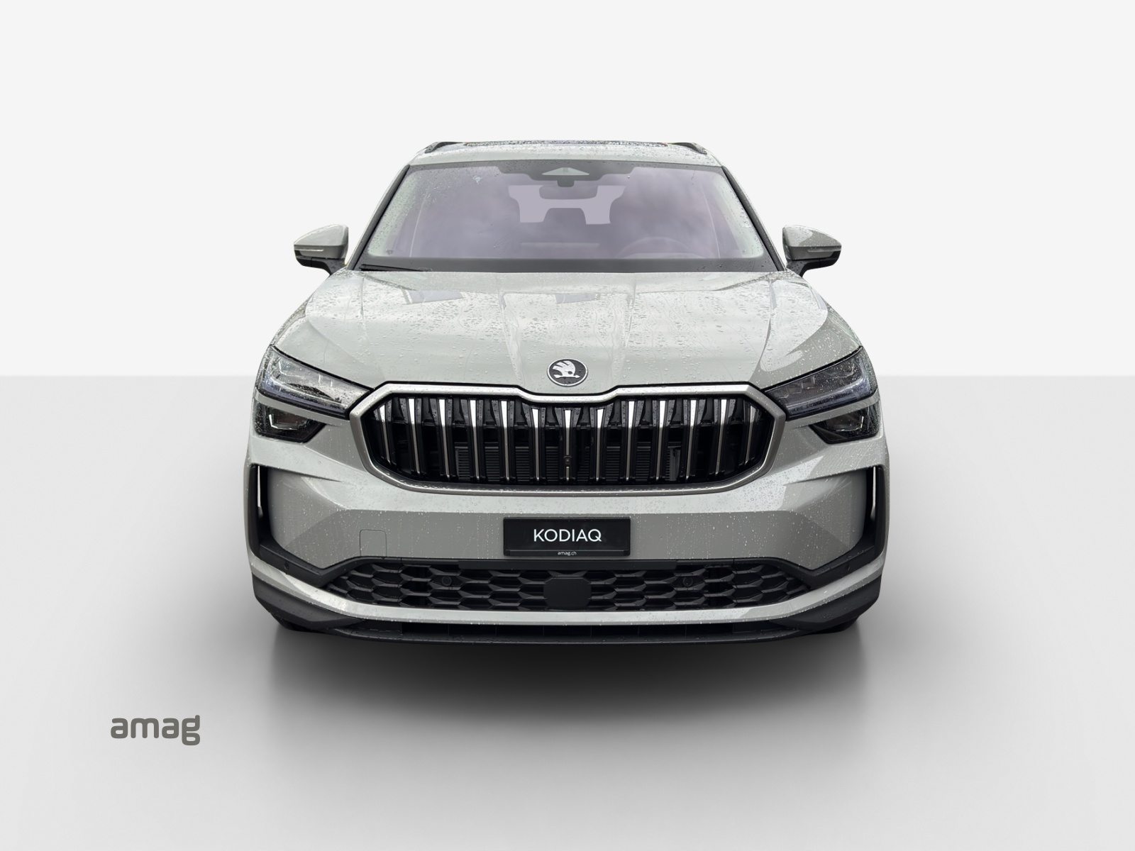 SKODA Kodiaq Dynamic (Netto), Benzin, Neuwagen, Automatik - 7