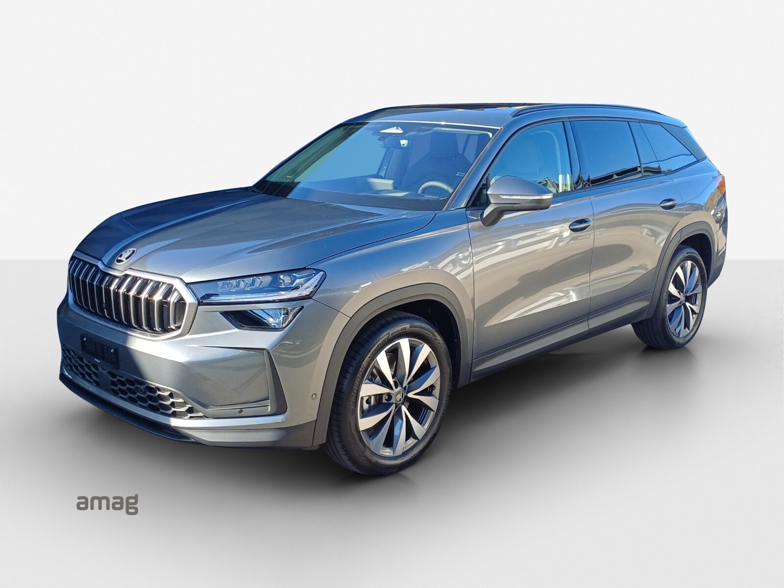 SKODA Kodiaq Dynamic (Netto)