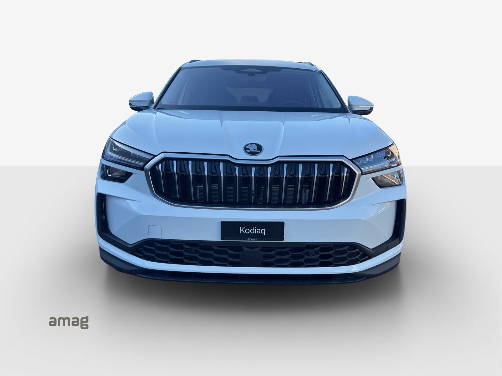 SKODA Kodiaq Dynamic (Netto), Benzin, Neuwagen, Automatik - 7