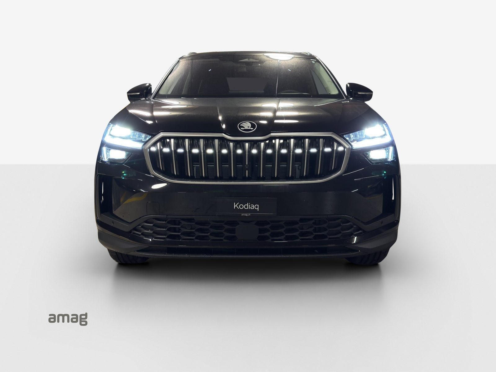 SKODA Kodiaq Dynamic (Netto), Benzin, Neuwagen, Automatik