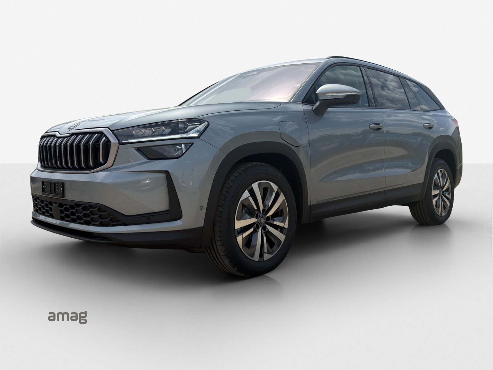 SKODA Kodiaq iV Dynamic (Netto)