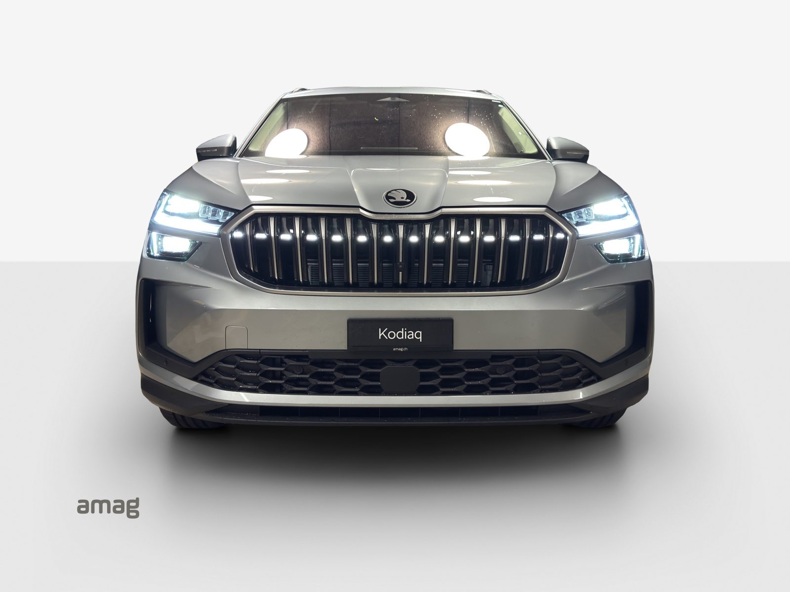 SKODA Kodiaq Dynamic (Netto), Petrol, New car, Automatic - 7