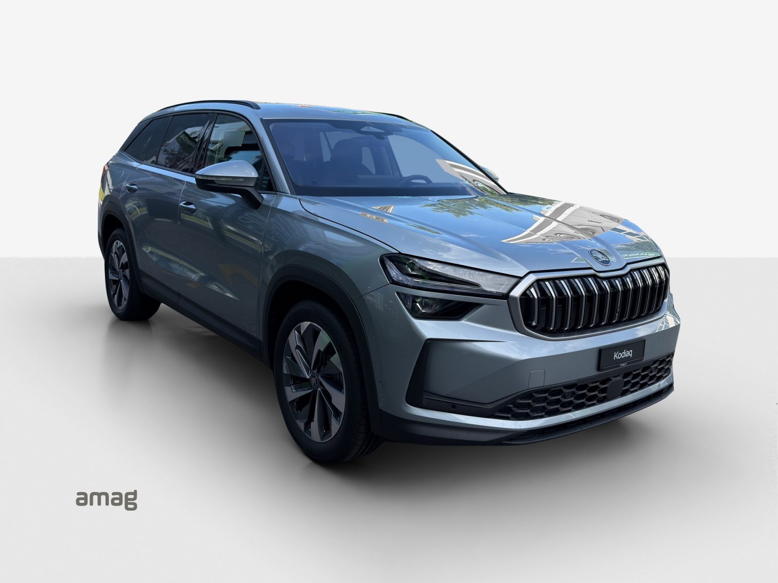 SKODA Kodiaq Dynamic (Netto), Benzina, Auto nuove, Automatico - 6