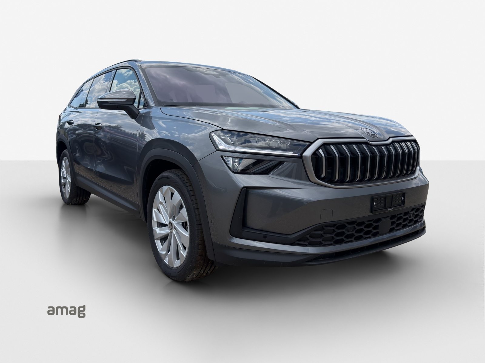 SKODA Kodiaq Dynamic (Netto), Benzina, Auto nuove, Automatico - 6