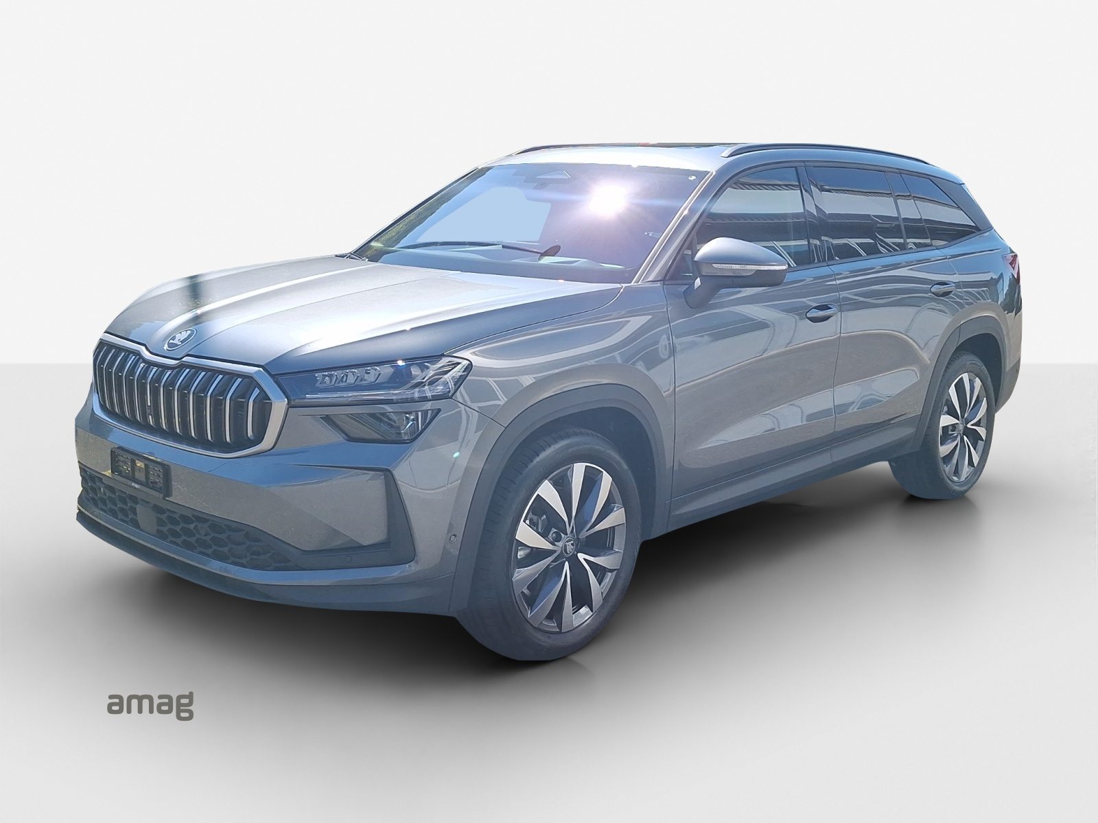 SKODA Kodiaq Dynamic (Netto)