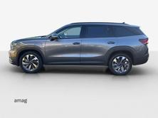 SKODA Kodiaq iV Dynamic (Netto), Full-Hybrid Petrol/Electric, New car, Automatic - 2