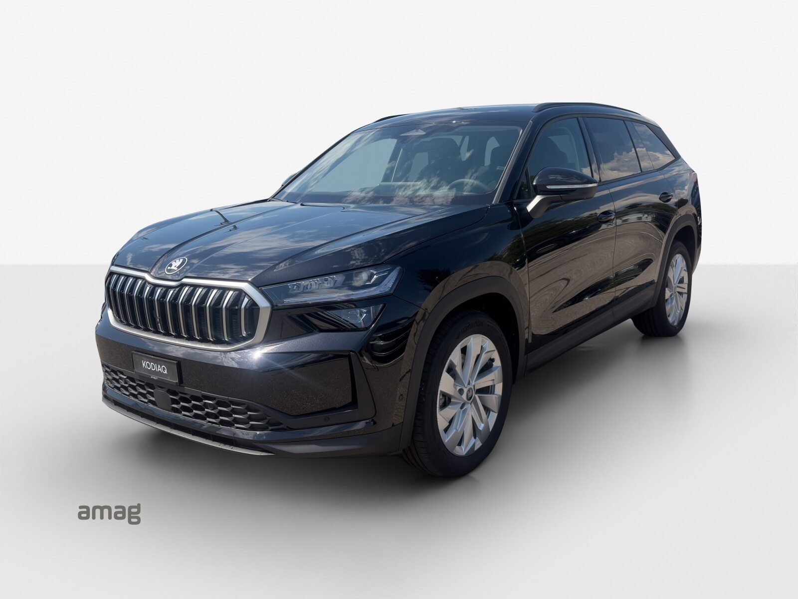 SKODA Kodiaq Dynamic (Netto)