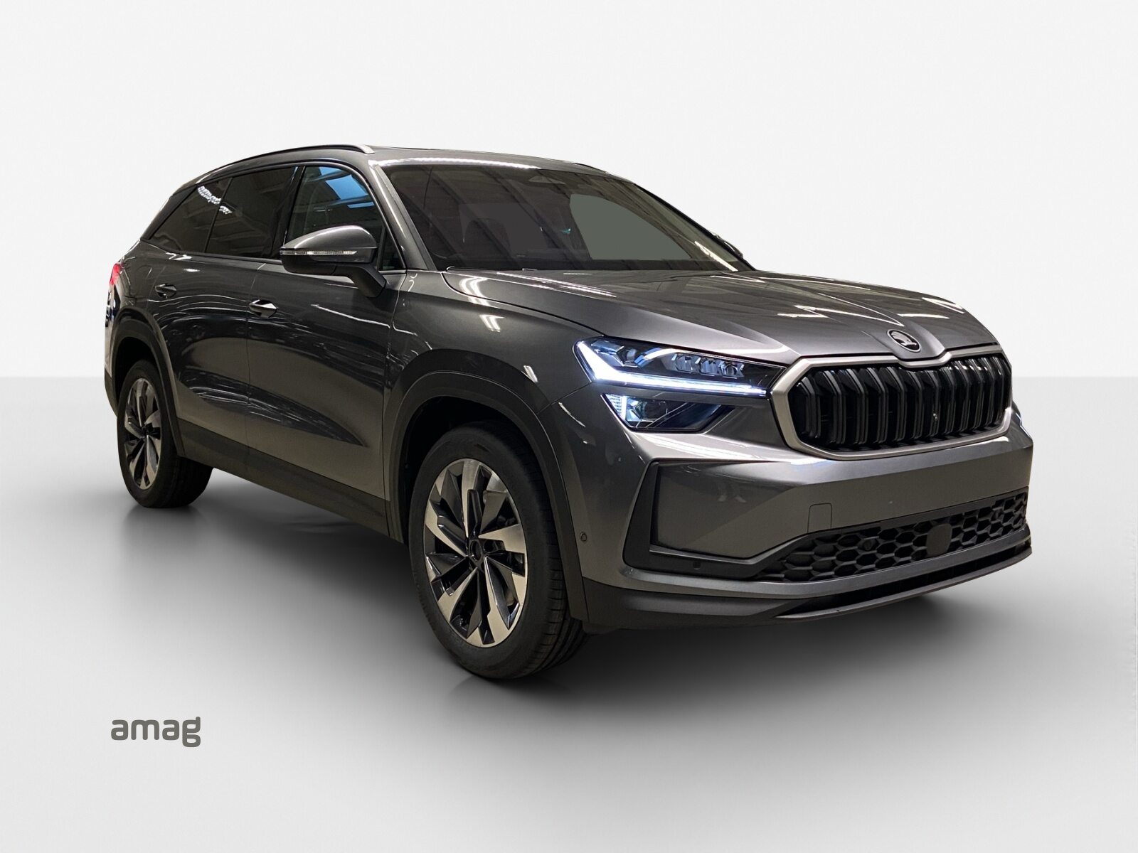 SKODA Kodiaq Dynamic (Netto), Benzina, Auto nuove, Automatico - 6