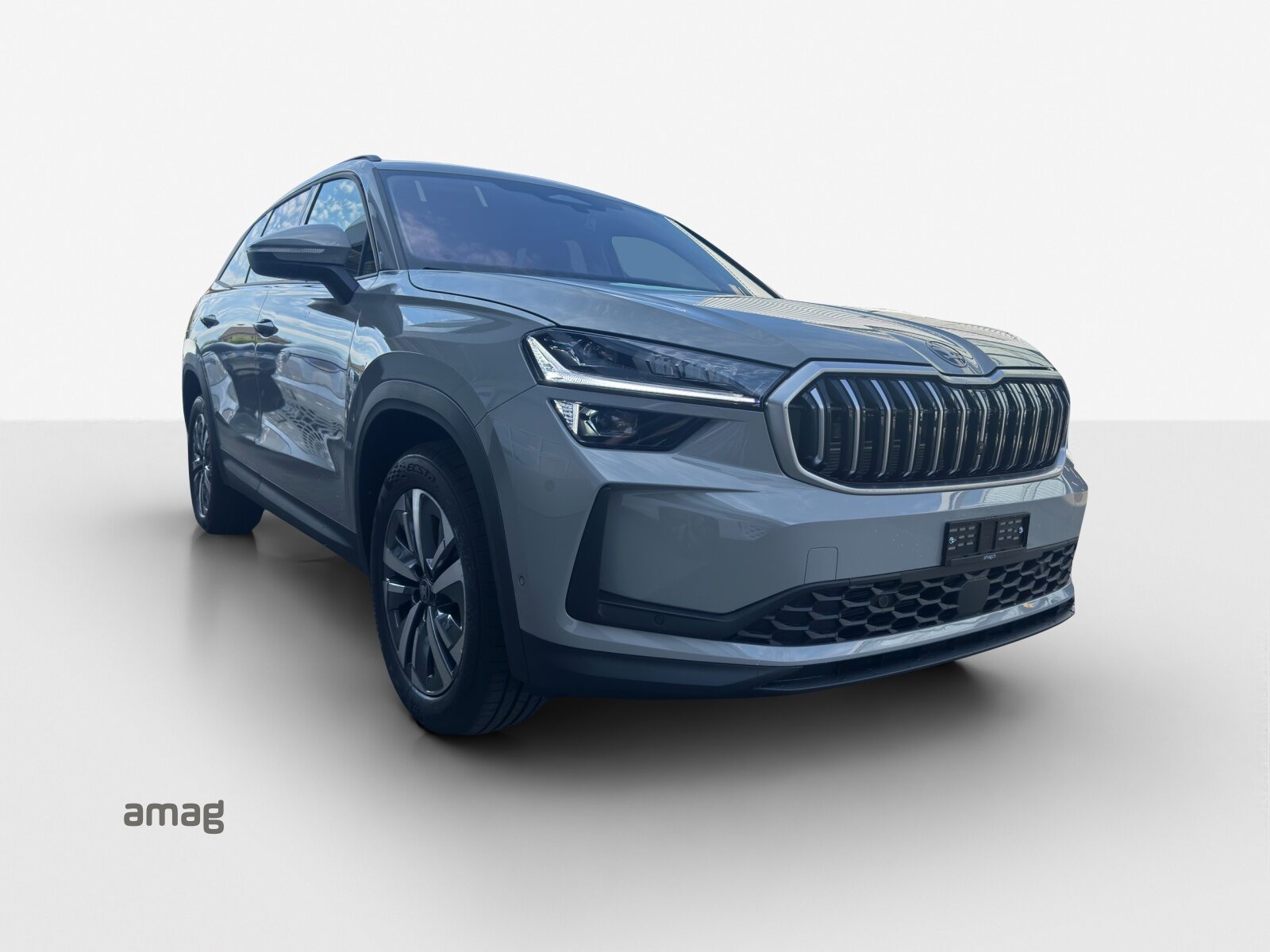 SKODA Kodiaq Dynamic (Netto), Benzina, Auto nuove, Automatico - 6