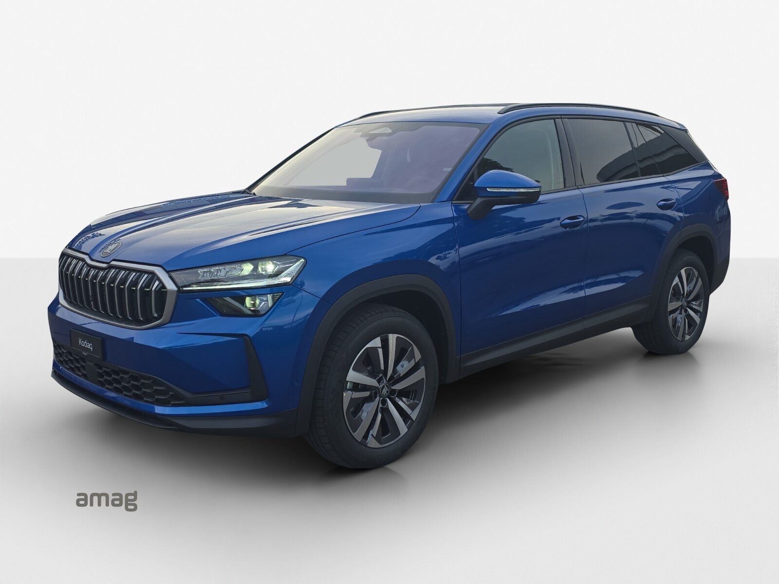 SKODA Kodiaq Dynamic (Netto)