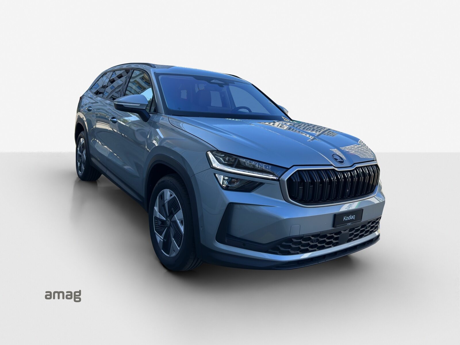SKODA Kodiaq Dynamic (Netto), Petrol, New car, Automatic - 6