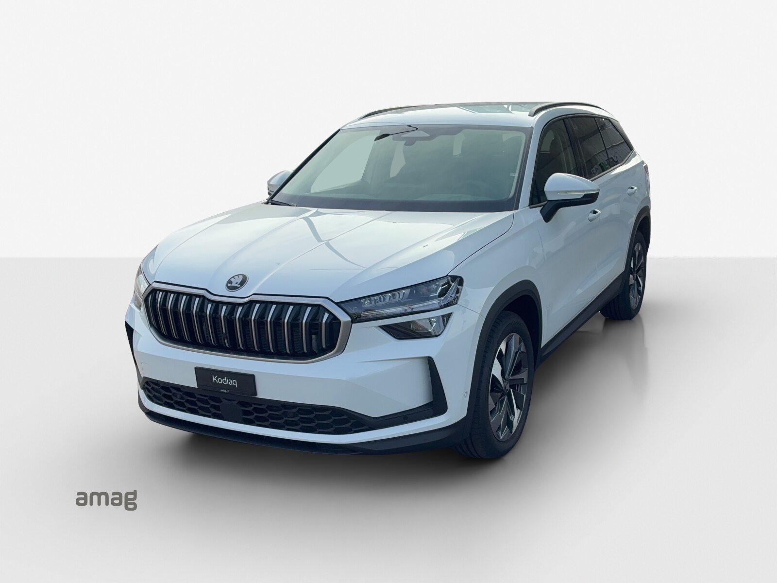 SKODA Kodiaq Dynamic (Netto)