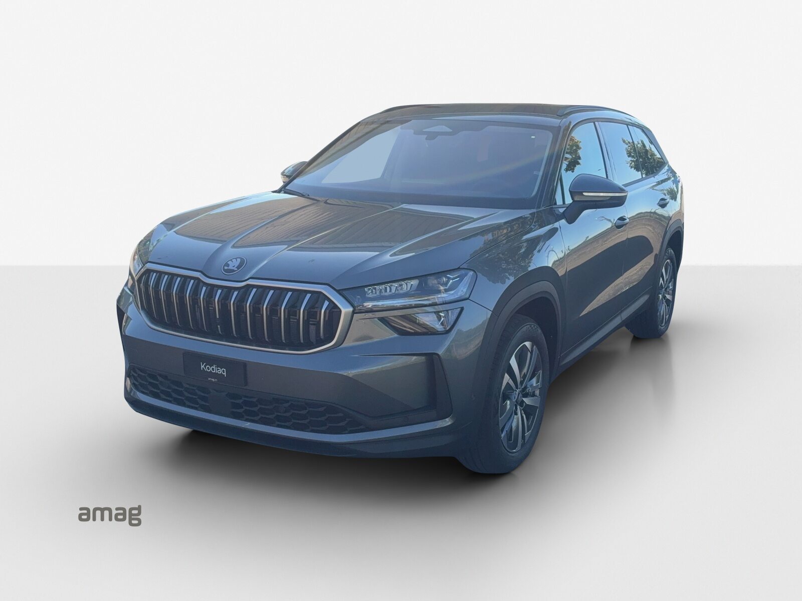 SKODA Kodiaq Dynamic (Netto)