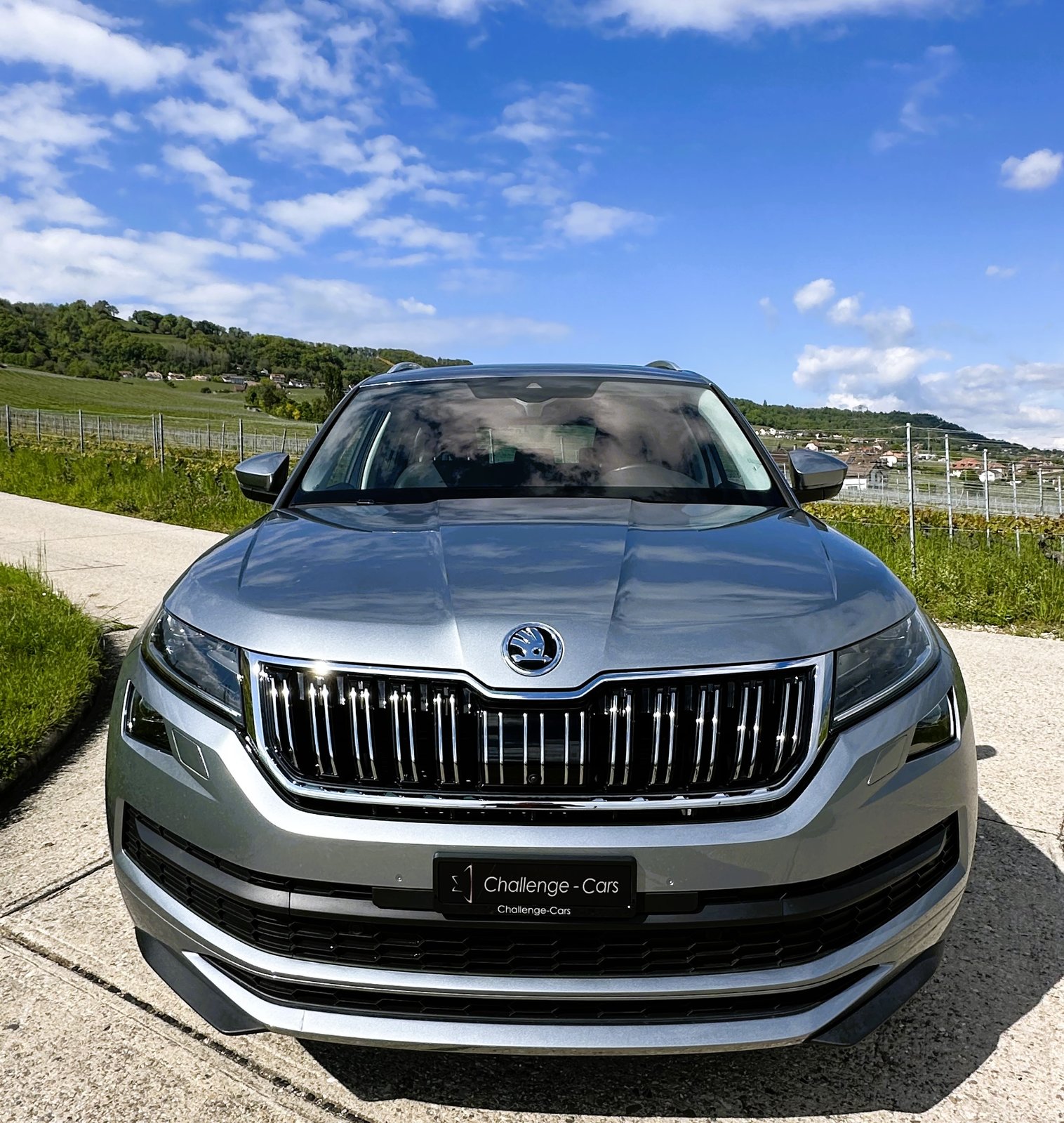 SKODA Kodiaq 2.0 TSI 4x4 L&K, Benzin, Occasion / Gebraucht, Automatik - 3