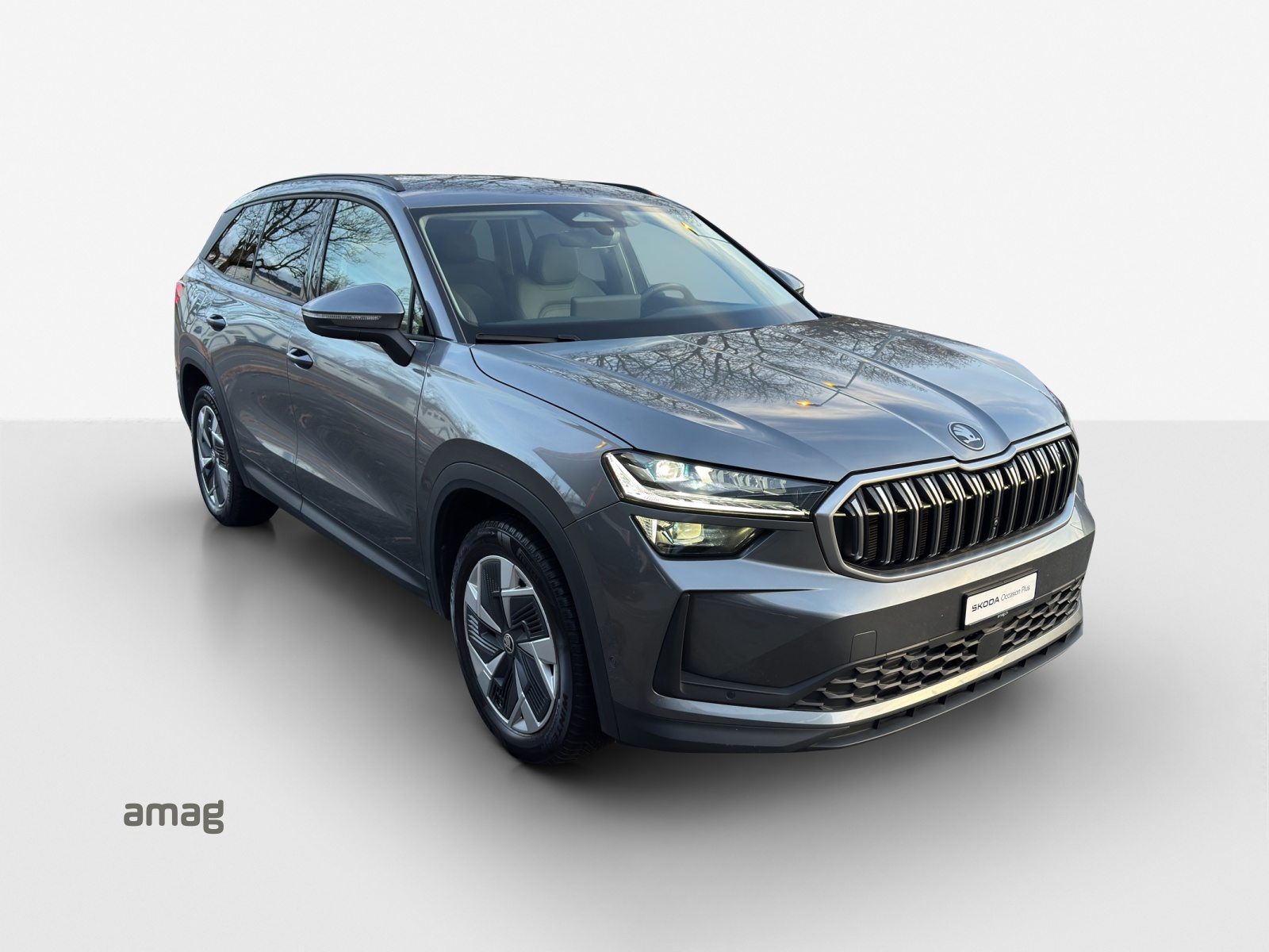 SKODA Kodiaq Selection, Diesel, Second hand / Used, Automatic - 6