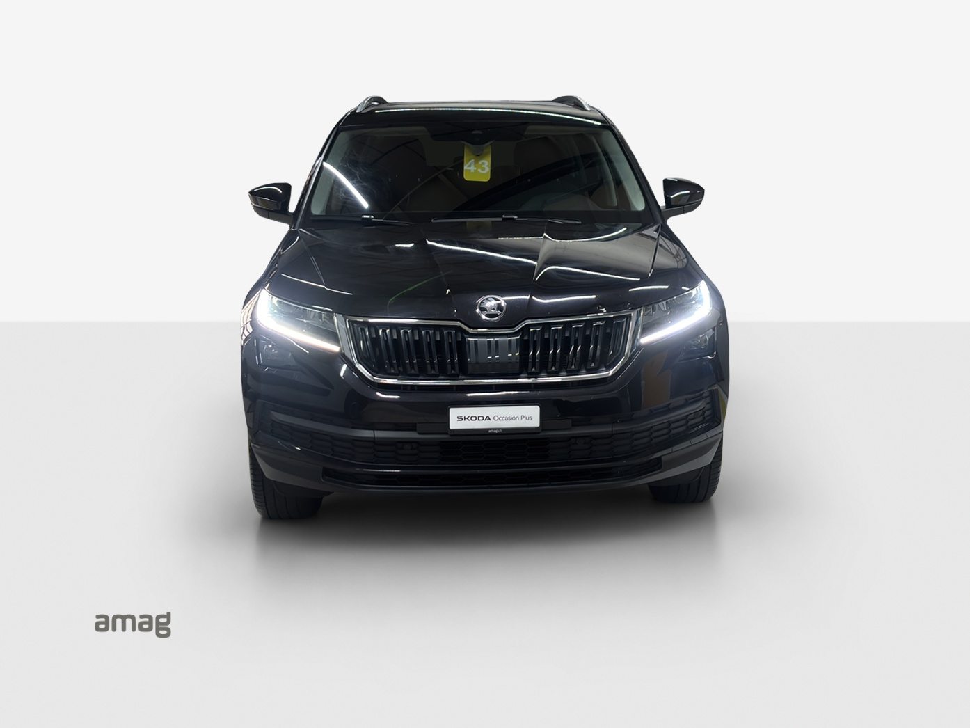 SKODA KODIAQ «Drive 125» 4X4 (Netto), Benzin, Occasion / Gebraucht, Automatik - 7