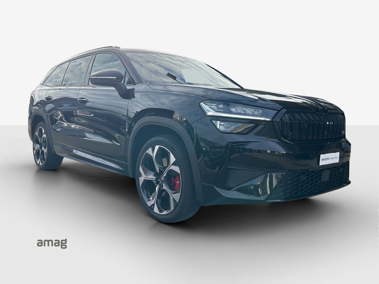 SKODA Kodiaq RS, Benzina, Occasioni / Usate, Automatico - 6