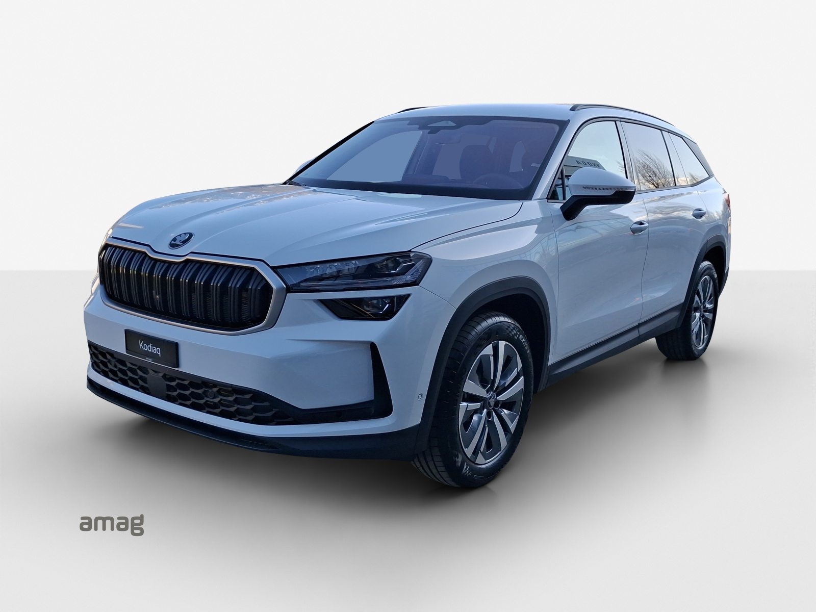 SKODA Kodiaq Dynamic (Netto)