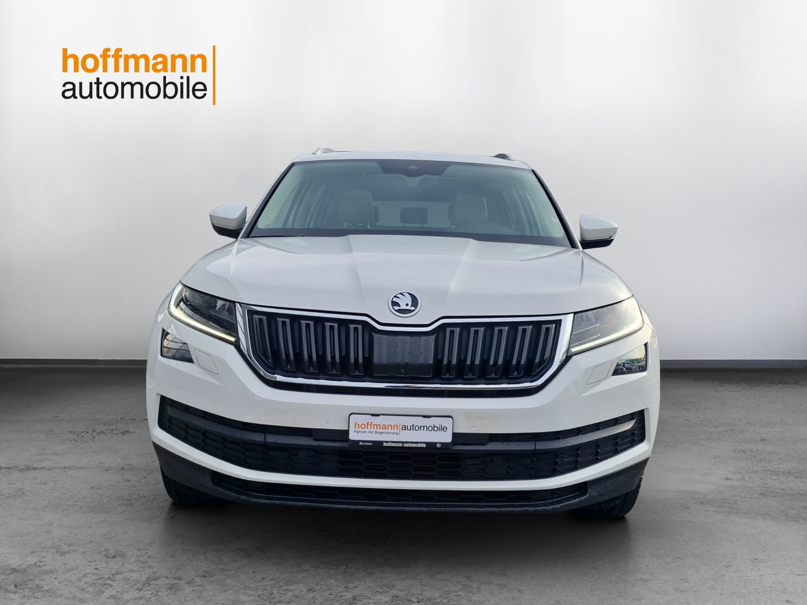 SKODA Kodiaq 2.0 TSI Style DSG 4x4, Benzina, Occasioni / Usate, Automatico - 2