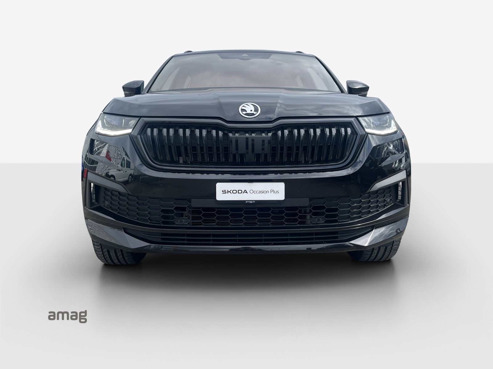 SKODA Kodiaq SportLine, Benzina, Occasioni / Usate, Automatico - 7
