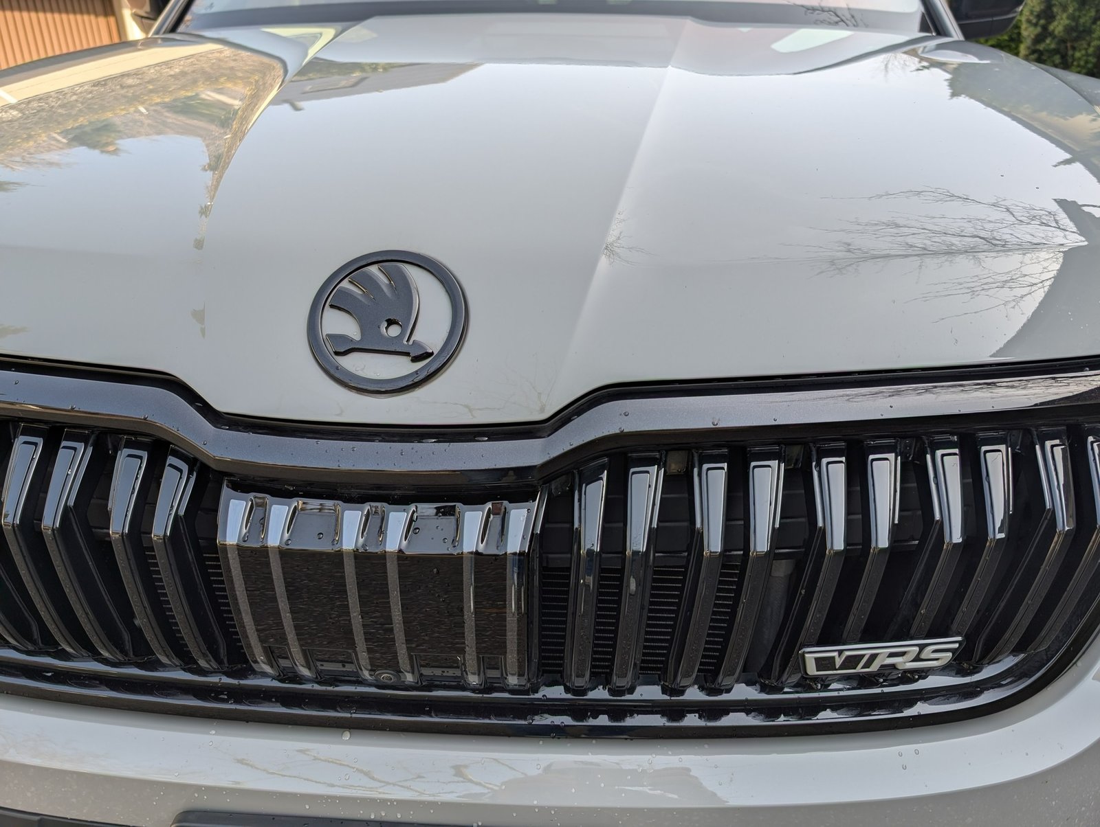 SKODA Kodiaq 2.0 TSI RS DSG, Benzina, Occasioni / Usate, Automatico - 4