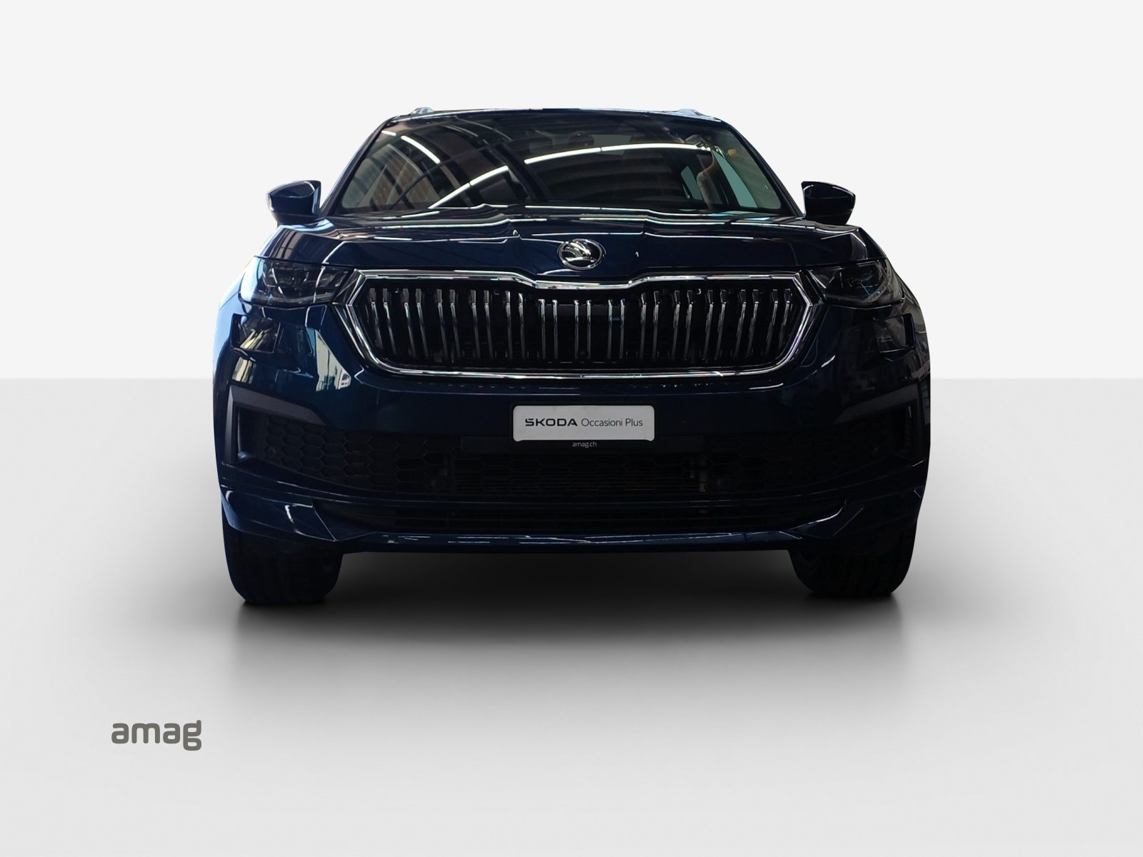 SKODA Kodiaq Laurin&Klement, Benzina, Occasioni / Usate, Automatico - 7