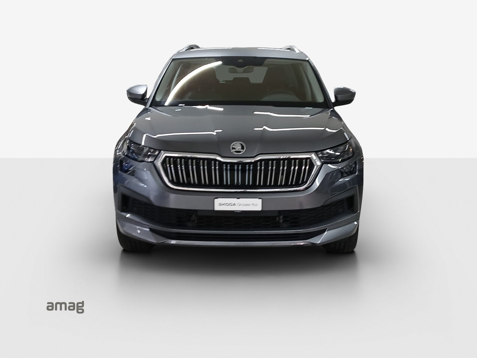 SKODA NEW KODIAQ Laurin&Klement, Benzina, Occasioni / Usate, Automatico - 7