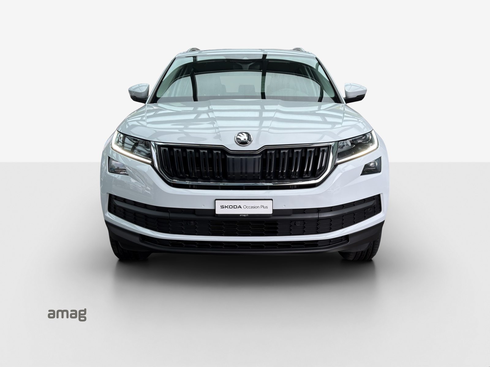 SKODA KODIAQ Smile 4X4 (Netto), Essence, Occasion / Utilisé, Automatique - 7
