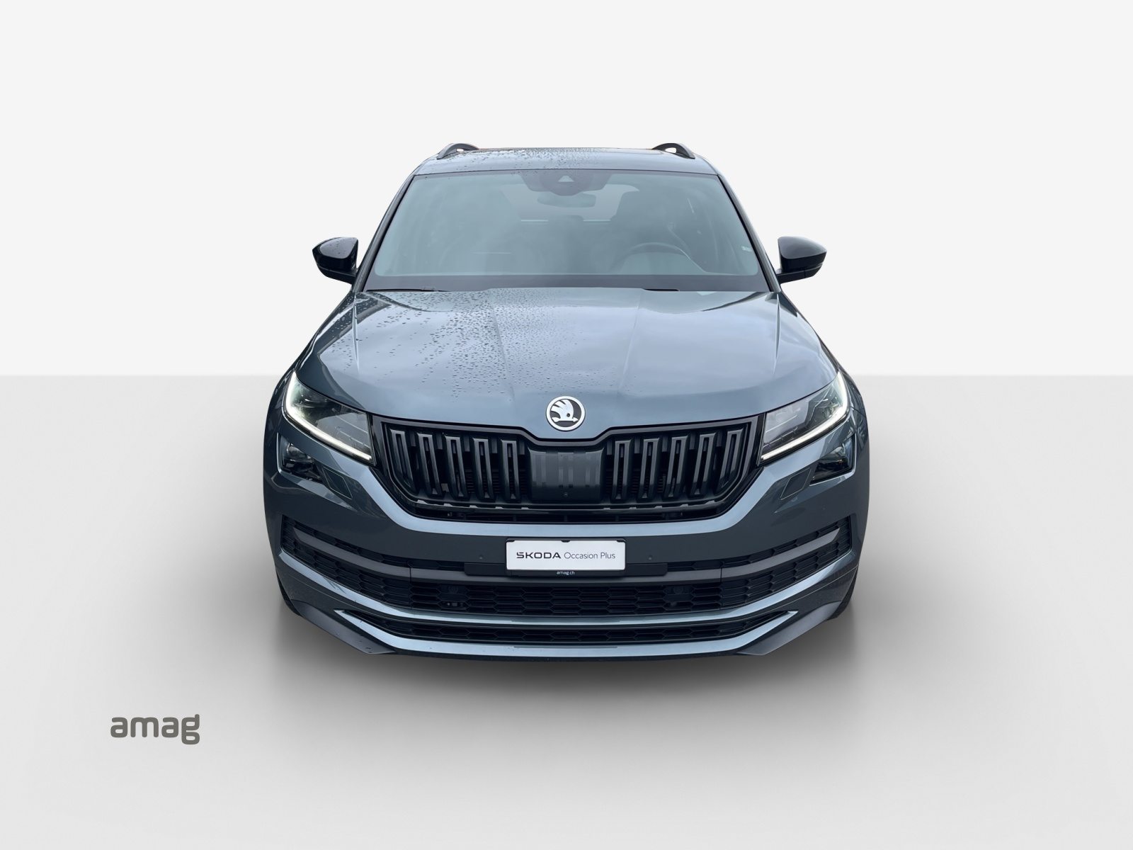 SKODA KODIAQ SportLine, Diesel, Occasion / Gebraucht, Automatik - 7