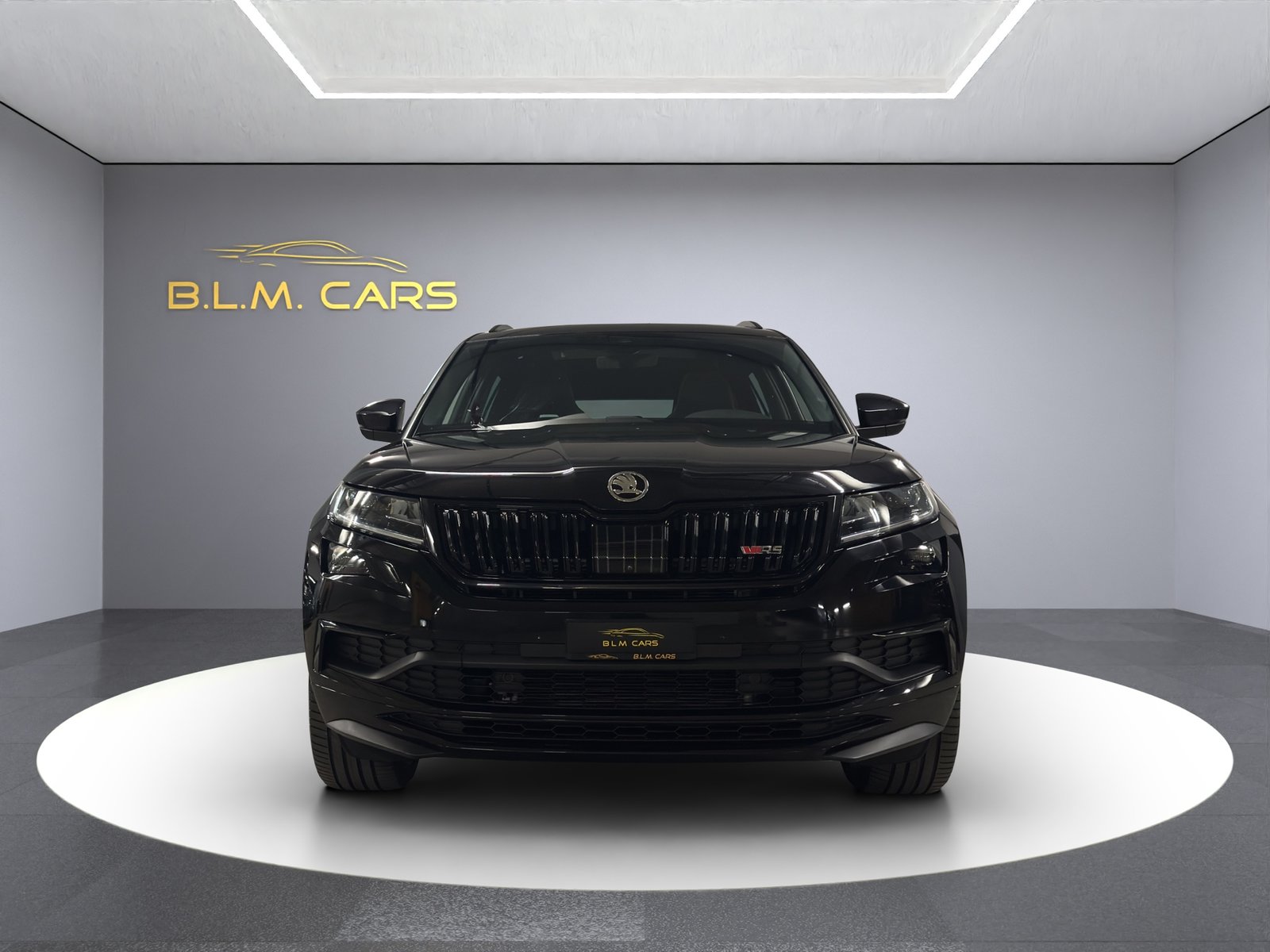 SKODA Kodiaq 2.0 Bi-TDI SCR RS 4x4 DSG, Diesel, Occasioni / Usate, Automatico - 3