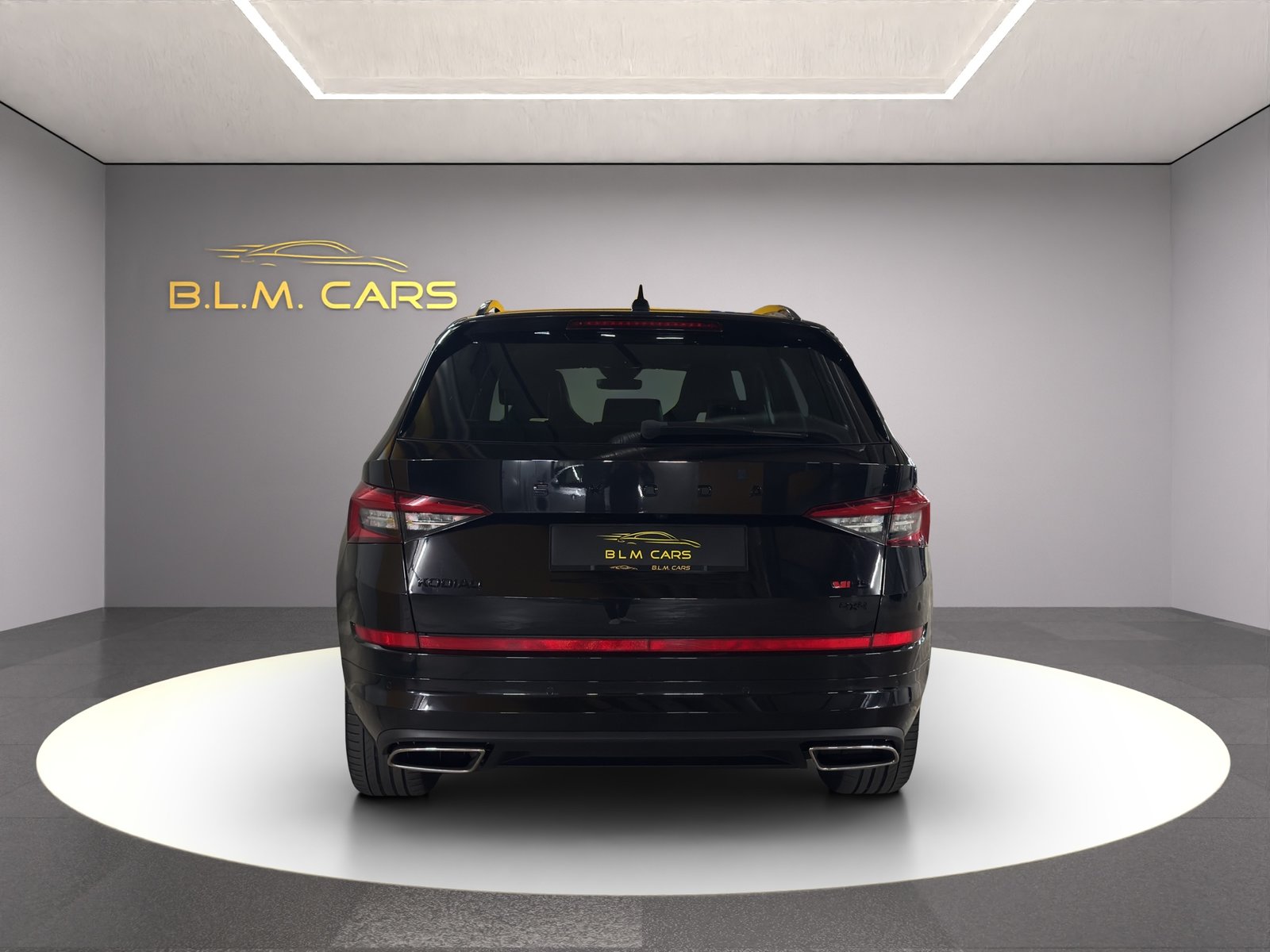 SKODA Kodiaq 2.0 Bi-TDI SCR RS 4x4 DSG, Diesel, Occasioni / Usate, Automatico - 6