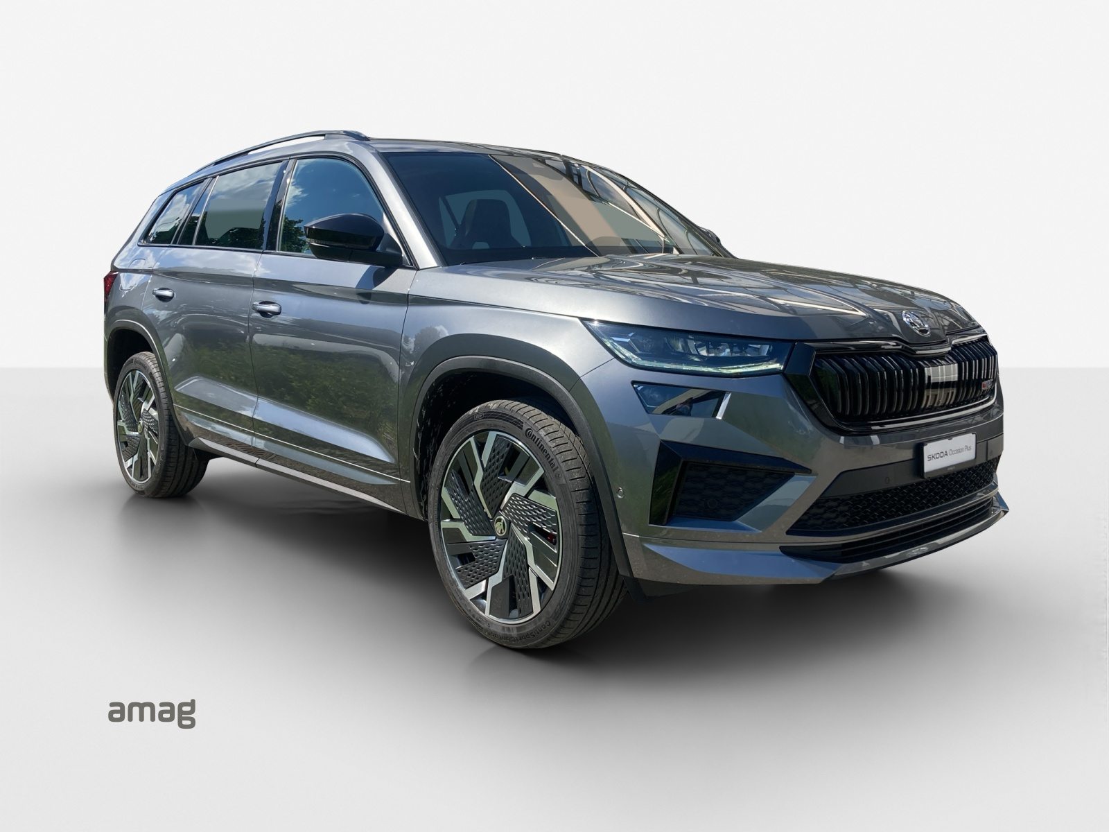 SKODA NEW KODIAQ RS, Essence, Occasion / Utilisé, Automatique - 6