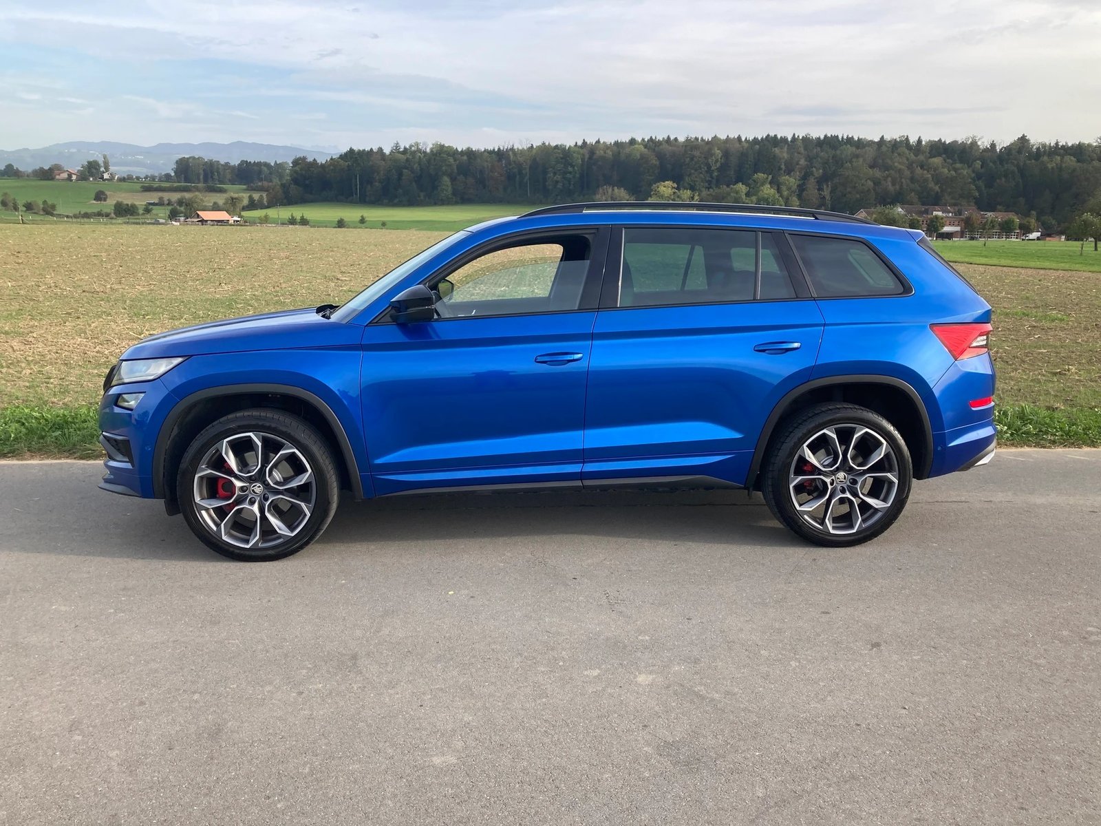 SKODA Kodiaq 2.0 Bi-TDI SCR RS 4x4 DSG 7 Sitzer + Standheizu, Diesel, Occasioni / Usate, Automatico - 5