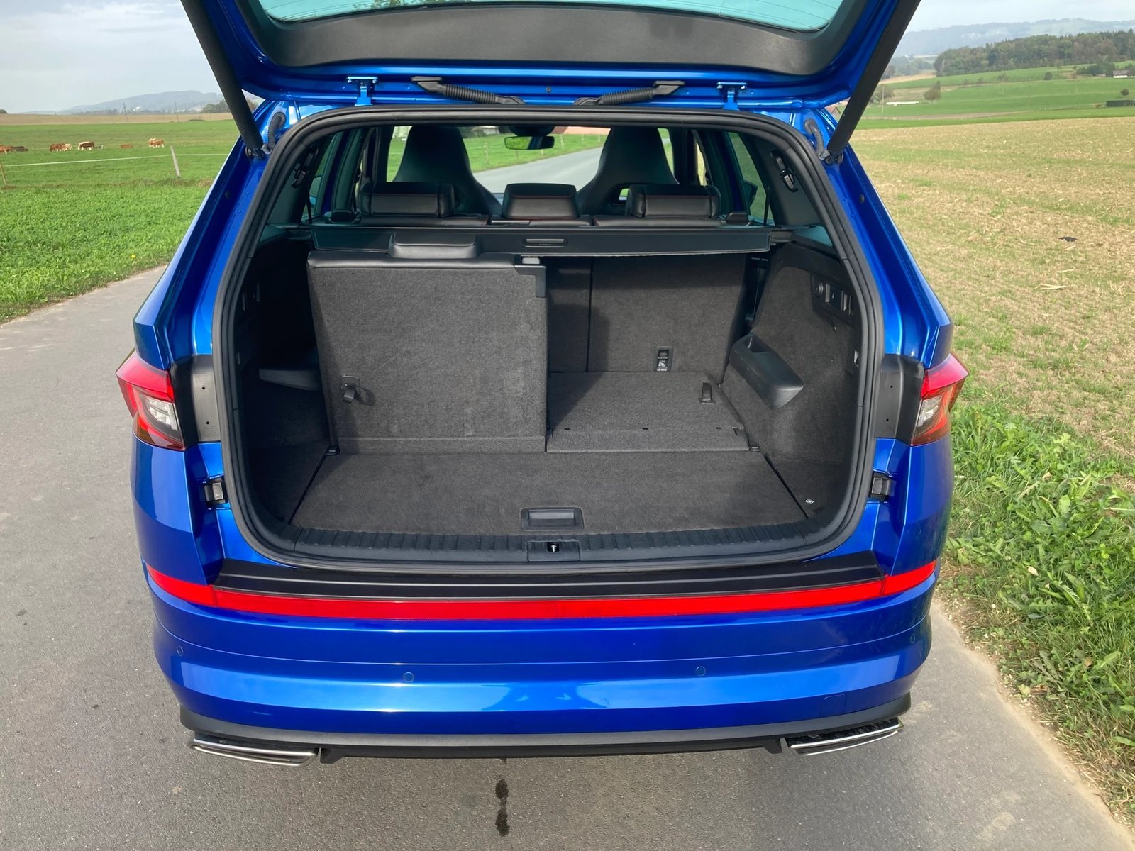 SKODA Kodiaq 2.0 Bi-TDI SCR RS 4x4 DSG 7 Sitzer + Standheizu, Diesel, Occasioni / Usate, Automatico - 6