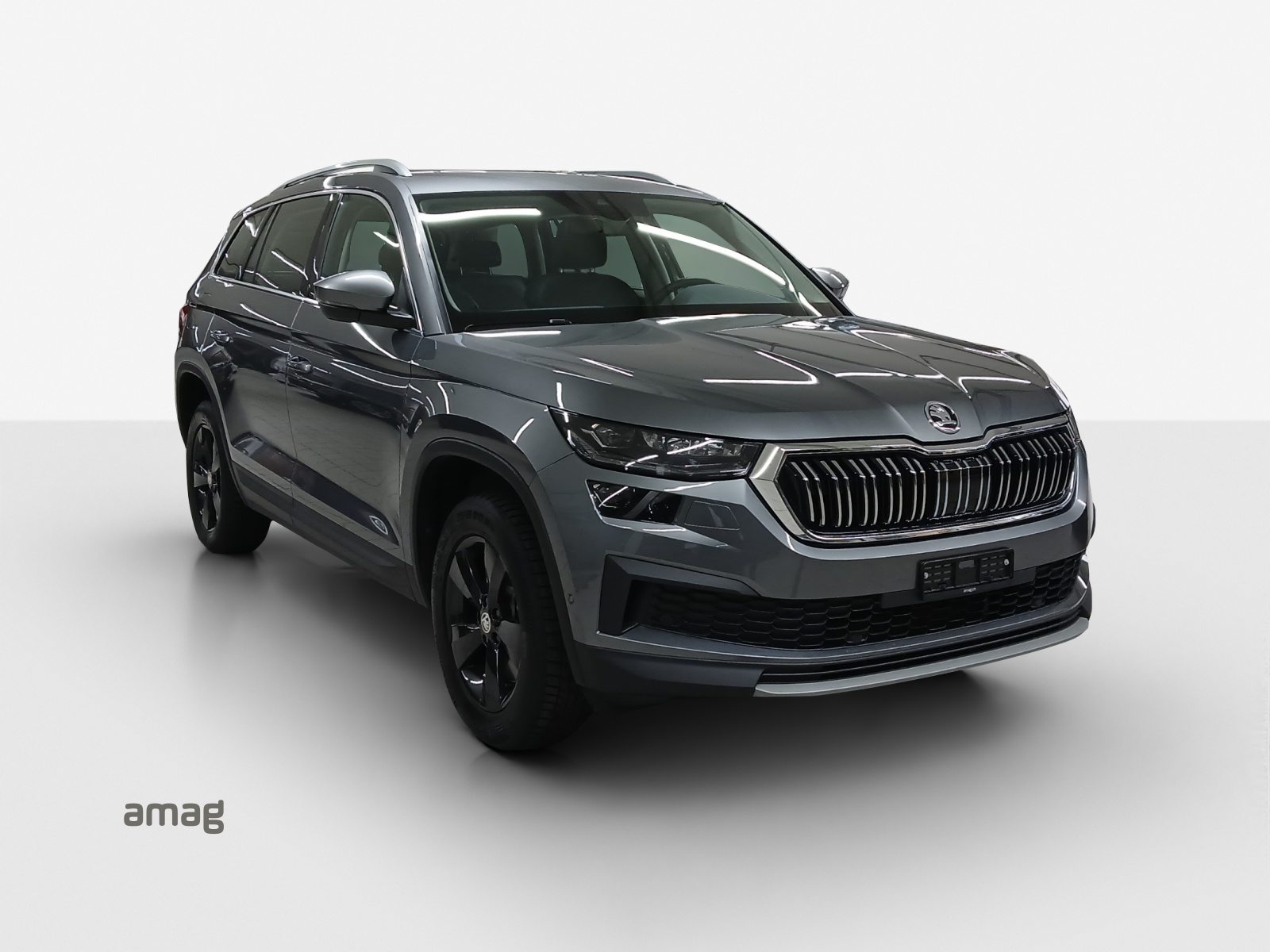 SKODA NEW KODIAQ Style, Essence, Occasion / Utilisé, Automatique - 6