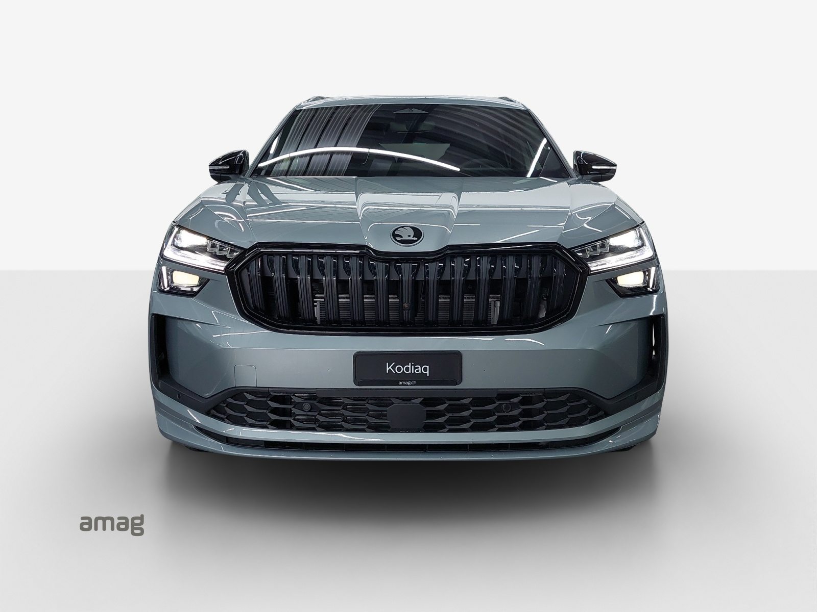 SKODA Kodiaq Sportline, Benzina, Occasioni / Usate, Automatico - 7